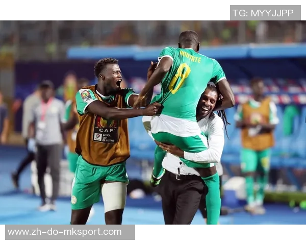非洲杯精彩对决马达斯加迎战突尼斯直播全程回顾与分析